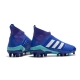 Adidas Predator 18+ Firm Ground Blue White Football Boots