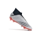 Adidas Predator 19+ Firm Ground Firm Ground - Silver Black Red Football Boots