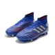 Adidas Predator 19.1 Firm Ground Blue Silver Football Boots