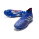 Adidas Predator 19.1 Firm Ground Blue Silver Football Boots