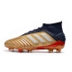 Adidas Predator 19.1 Firm Ground Gold Red Silver Football Boots