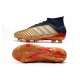 Adidas Predator 19.1 Firm Ground Gold Red Silver Football Boots