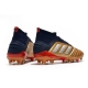 Adidas Predator 19.1 Firm Ground Gold Red Silver Football Boots