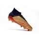 Adidas Predator 19.1 Firm Ground Gold Red Silver Football Boots