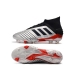Adidas Predator 19.1 Firm Ground Silver Black Red Football Boots