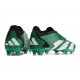Adidas Predator Accuracy.1 Low Firm Ground Green White Football Boots
