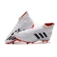Adidas Predator Mania 19.1 Firm Ground ADV White Core Black Football Boots