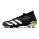 Adidas Predator Mutator 20.1 Firm Ground Core Black White Gold Metallic Football Boots