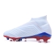 Adidas Telstar Predator 18+ Firm Ground Russian White Silver Football Boots