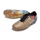 Nike Tiempo Legend 10 Elite Firm Ground Future Heritage Mtlc Gold Silk Coin Black Football Boots